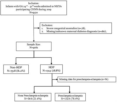 Impact of hypertensive disorders of pregnancy on neonatal outcomes among infants born at 24+0–31+6 weeks’ gestation in China: A multicenter cohort study